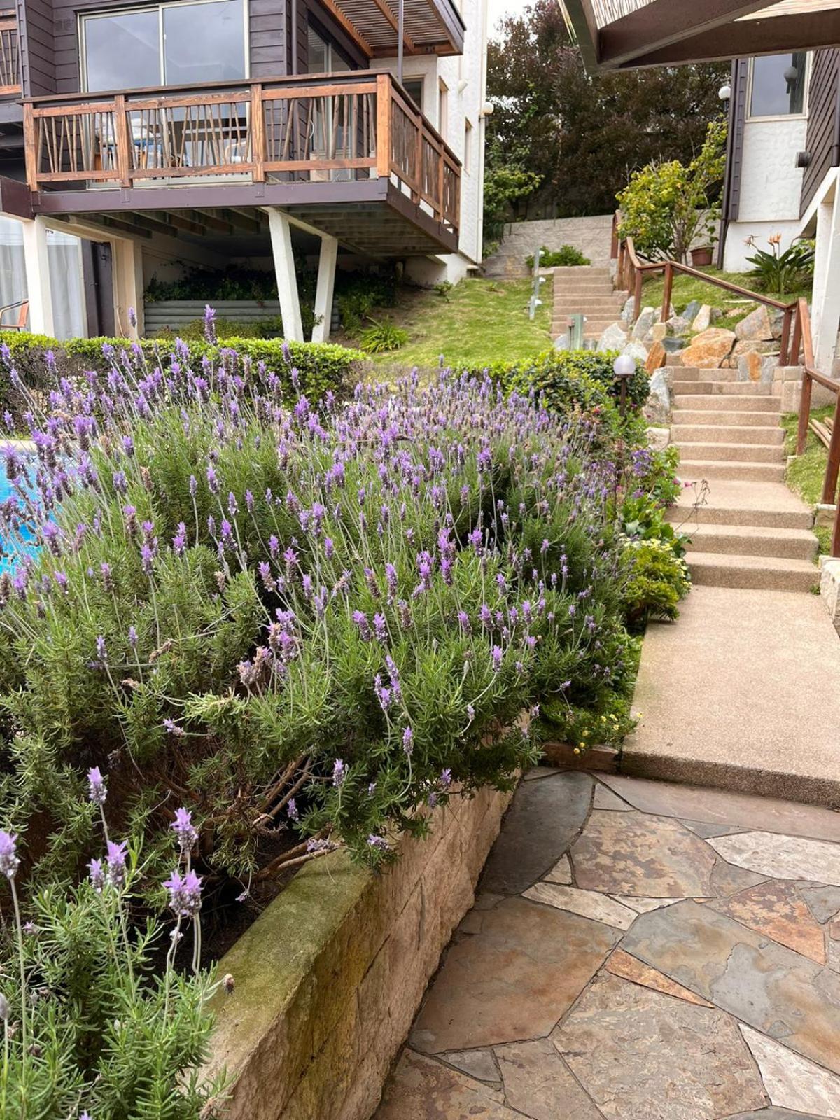 Blumen Hotel Concón Extérieur photo
